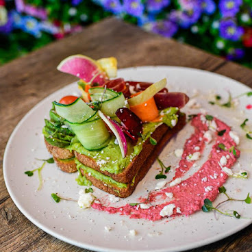 Peacock Pansy by null