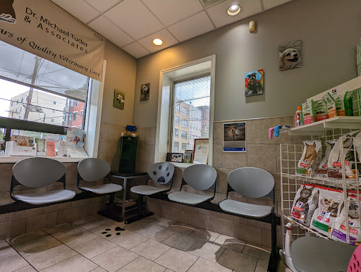 Animal Infirmary of Hoboken Gallery - United States