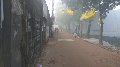 Photos of Baigertek Siddikia Jame Masjid