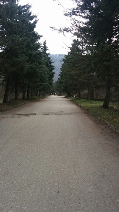Photos of Resort Nalchik