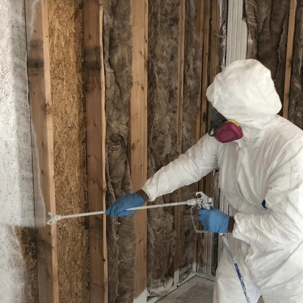 Seattle Mold And Restoration Service photo