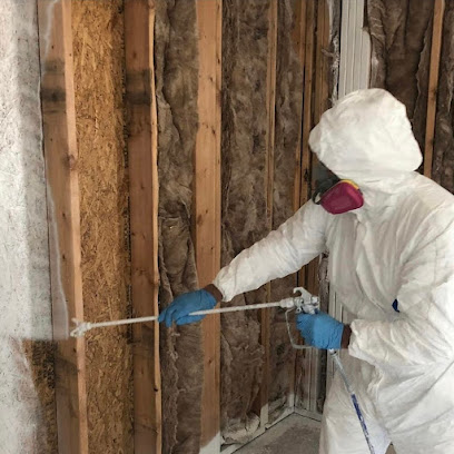 Seattle Mold And Restoration Service