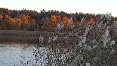 Photos of Priedaine Waterski Club