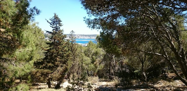 Torre dell'Alto