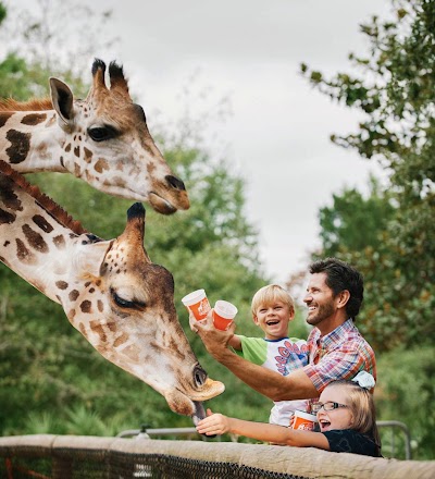 Photos of Gulf Breeze Zoo