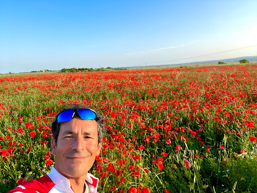 ALAIN DE ALMEIDA
