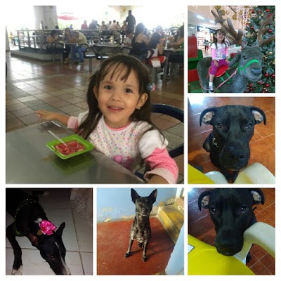 Photos of Barrio La esmeralda
