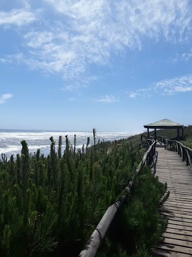 Opiniones de Mirador Quinchahue en Saavedra - Museo