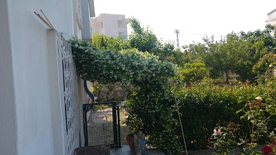 Photos of Başak Sitesi Plajı