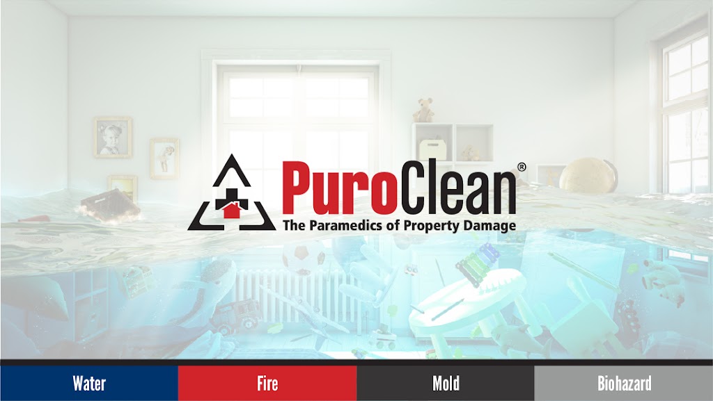 PuroClean of San Rafael photo