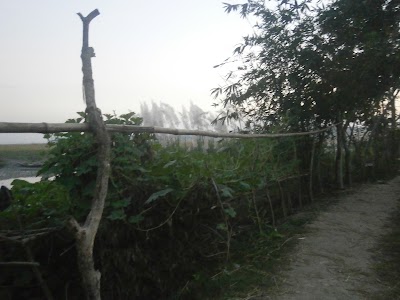 Photos of Vangarmukh Launch Terminal