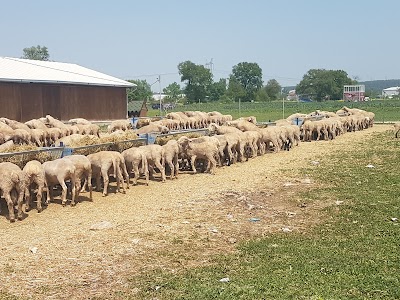 Arda Güner Yazlık Gölcük köyü