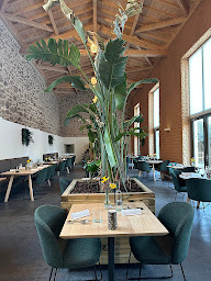 Photo n°1 de Château de Villars - L'Oliveraie : Hôtel & Restaurant au cœur du Pilat à La Chapelle-Villars (Lieu de mariage)