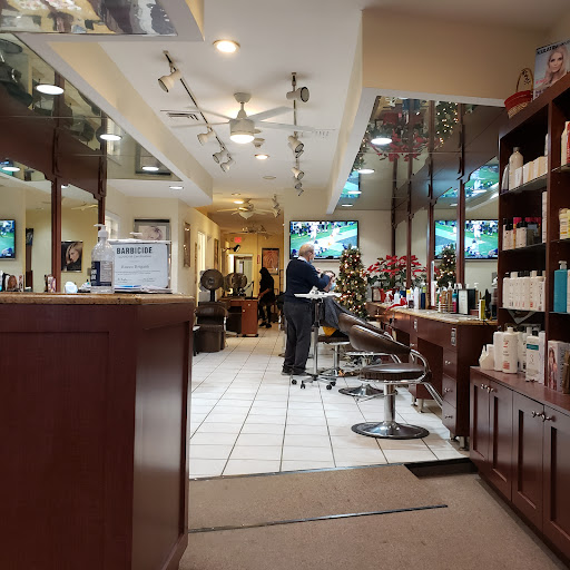 Town & Country Hairdressers Logo