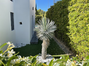 Photo n°12 de Carre Vert Service à Hyères (Service d'élagage)