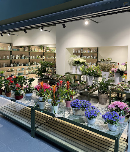 L'Attrape Fleurs - Fleuriste Montélimar - Thumbnail