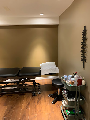 Adapt Physiotherapy - Visual