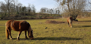 Photo n°20 de Séjour Bien-être Vellerot-lès-Vercel Doubs à Vellerot-lès-Vercel (Centre de bien-être)