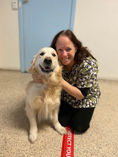 Para Hills Veterinary Clinic