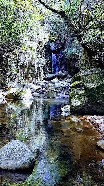 Photos of Galapitiyaya Estate