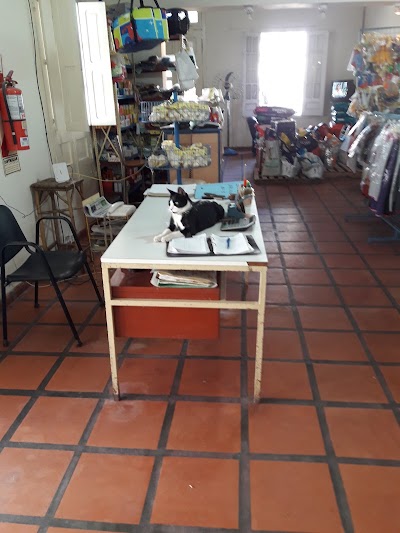 Photos of Veterinaria "Mascotas"