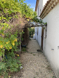 Photo n°9 de Entretien extérieur à Agde (Jardin)