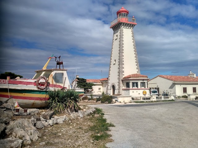 Leucate