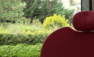 Photo n°4 de Cabinet d'Orthodontie - Antony à Antony (Orthodontiste)