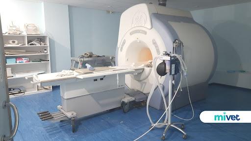 Centro Veterinario Diagnóstico por Imagen de Levante | MiVet (resonancia y TAC)