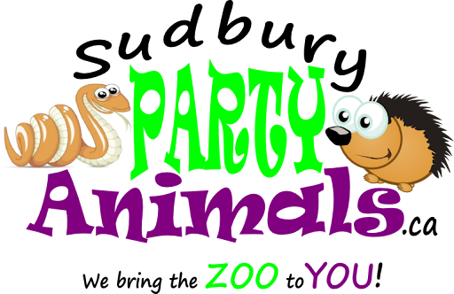 Sudbury Party Animals Gallery - Canada