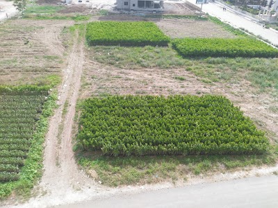 Photos of Voux Tece