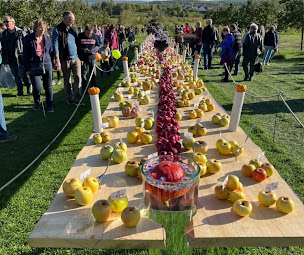 Photo n°7 de M&L immobilier à Metz (Copropriété)