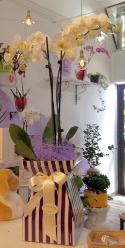 FIORILLUSION - Fiori Online a Milano - Thumbnail