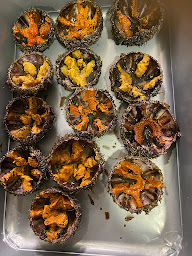 Photo n°11 de Le Petit Bistro à Blois (Bar à tapas)