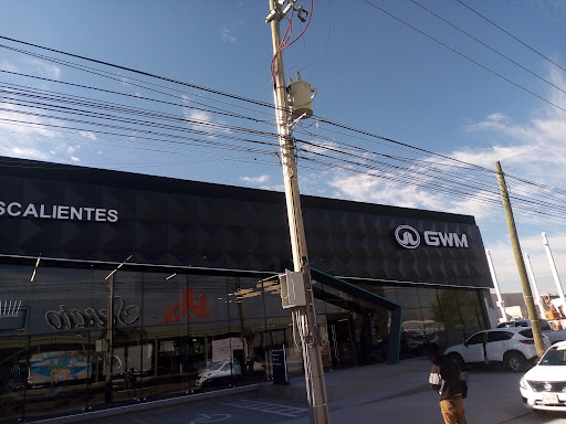 GWM Aguascalientes - Visual