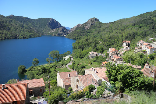 Corsica Dreams