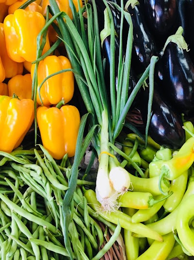 grocery-or-supermarket
