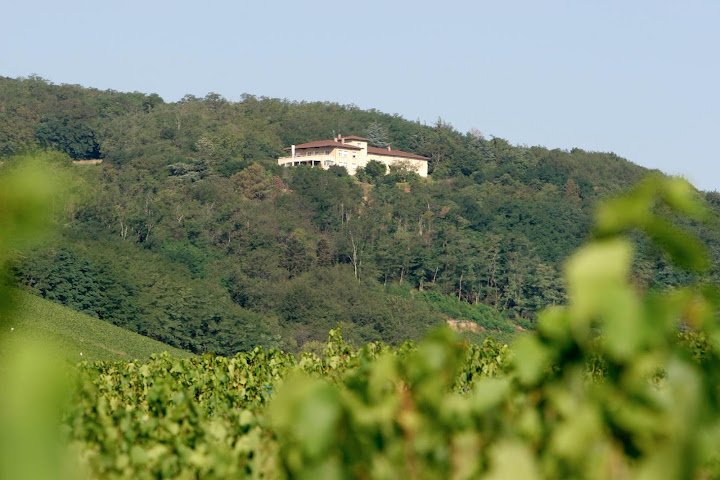 Auberge Les Hauts De Chenas by null