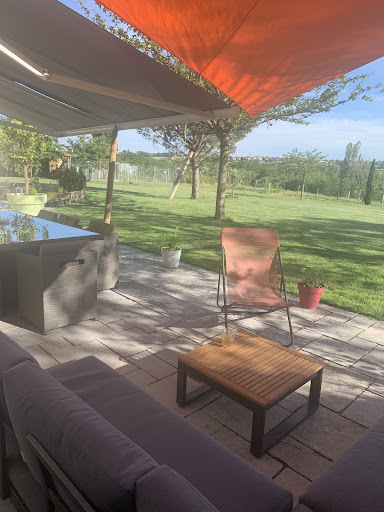 Photo de LA PETITE BASSETTE