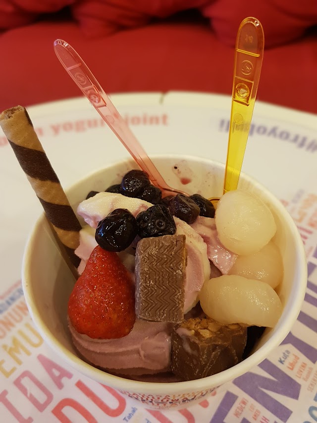 Frozen Yogi