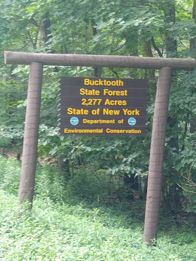 Bucktooth State Forest