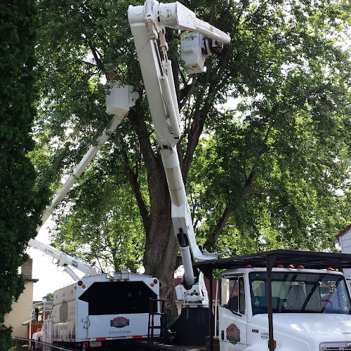 Northeast TreeWorx