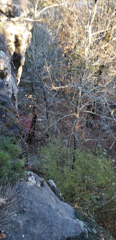 Buffalo Point Overlook