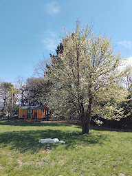 Photo n°14 de SALUTE !!! à Brousses-et-Villaret (Centre de bien-être)