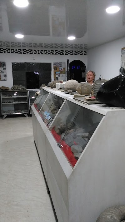 Photos of Museo Paleontol&oacute;gico