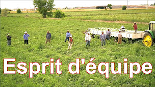 Photo n°2 de Equicoaching Events à Ury (Coaching professionnel)