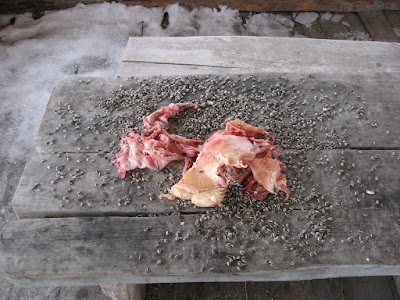 Photos of Selli-Sillaotsa &otilde;pperada