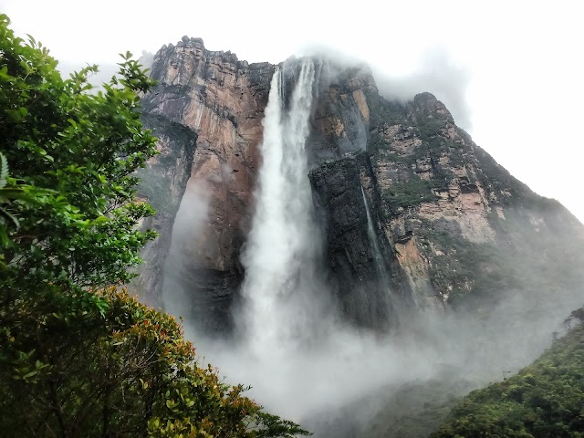 Angel Falls