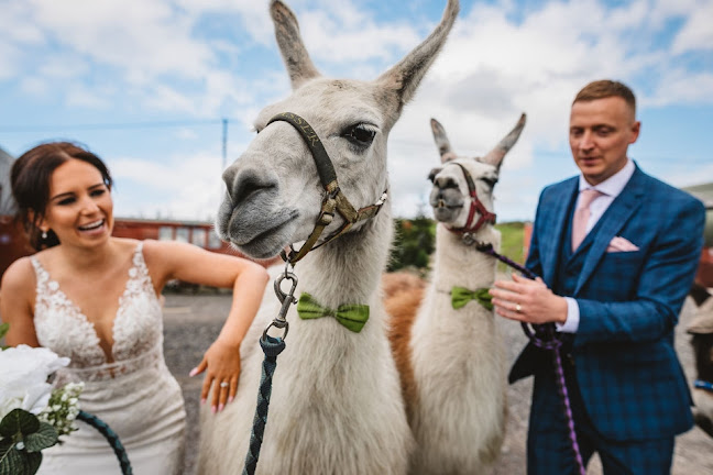 Comments and reviews of Sarah Maria Photography