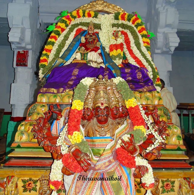 Tiruvanaikovil Arulmigu Jambukeswarar Akhilandeswari Temple